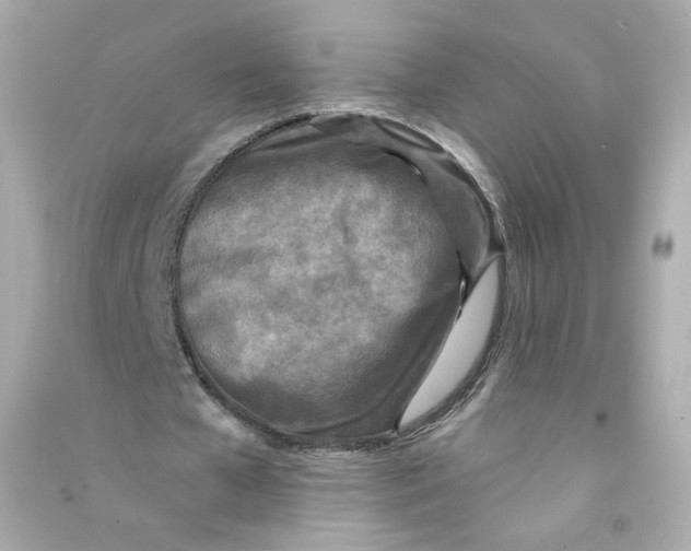 X0000090460577200708102113