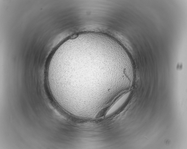 X0000090460578200708102113
