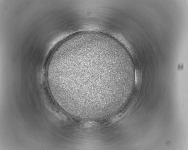 X0000090460579200708102113