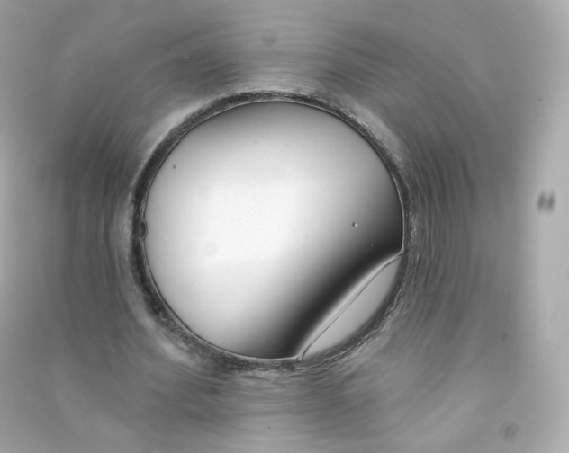 X0000090460580200708102113