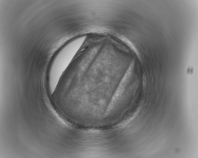 X0000090460581200708102113