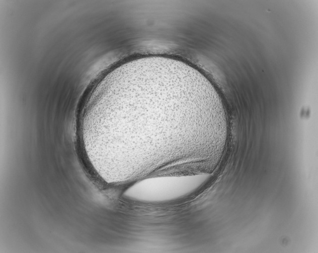 X0000090460582200708102113