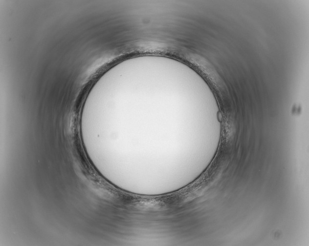 X0000090460583200708102113