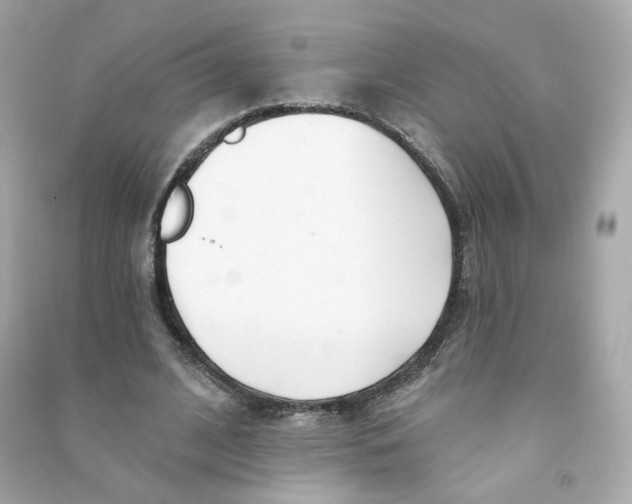 X0000090460584200708102113