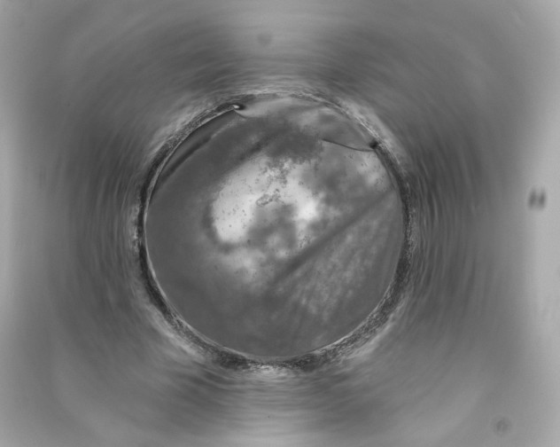 X0000090460585200708102113
