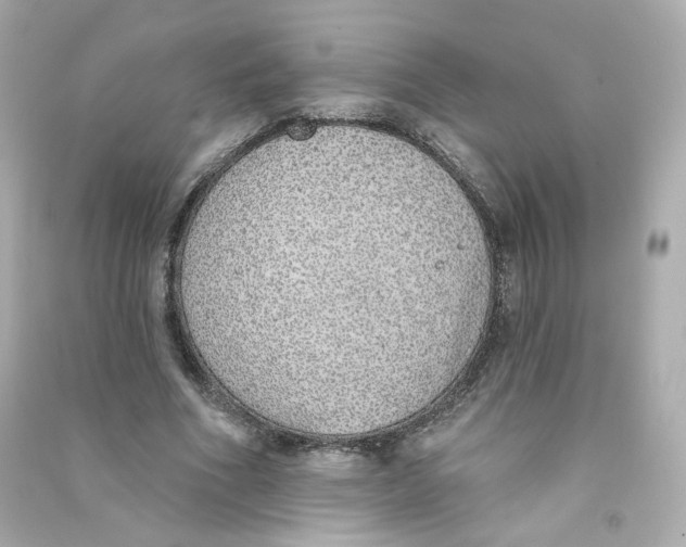 X0000090460586200708102113