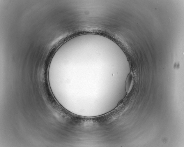 X0000090460587200708102113