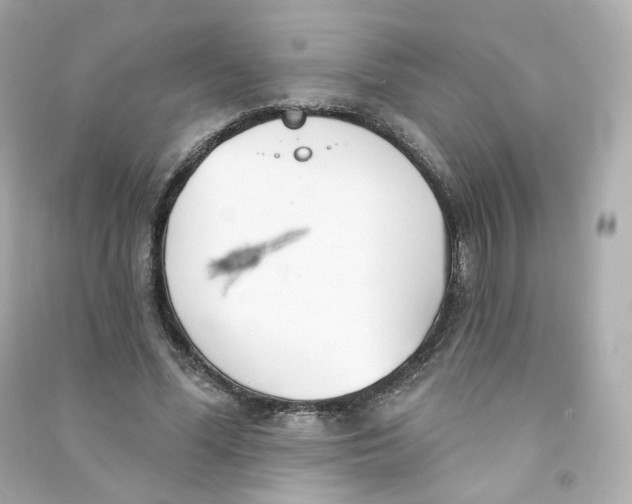 X0000090460588200708102113