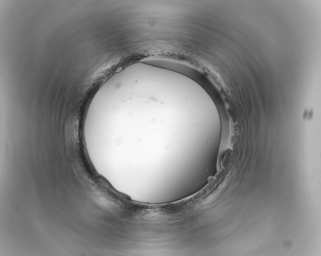 X0000090460589200708102113