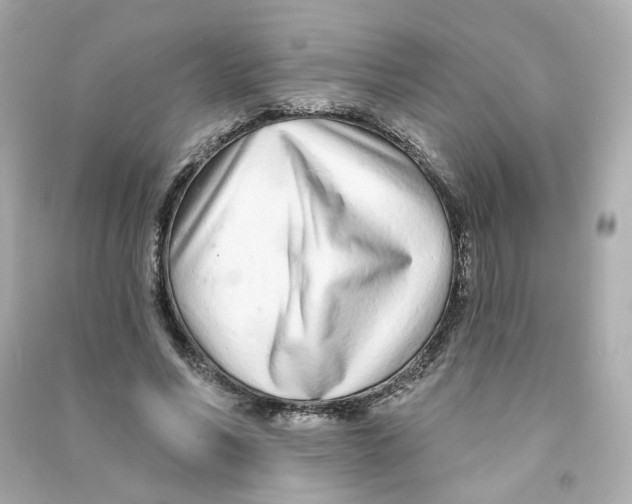 X0000090460590200708102113