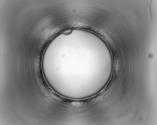 X0000090460591200708102113
