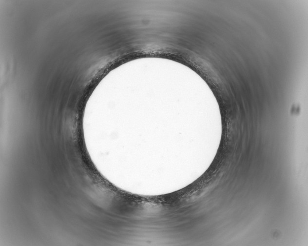 X0000090460592200708102113