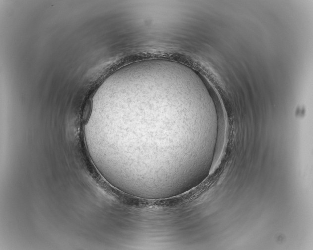 X0000090460593200708102113
