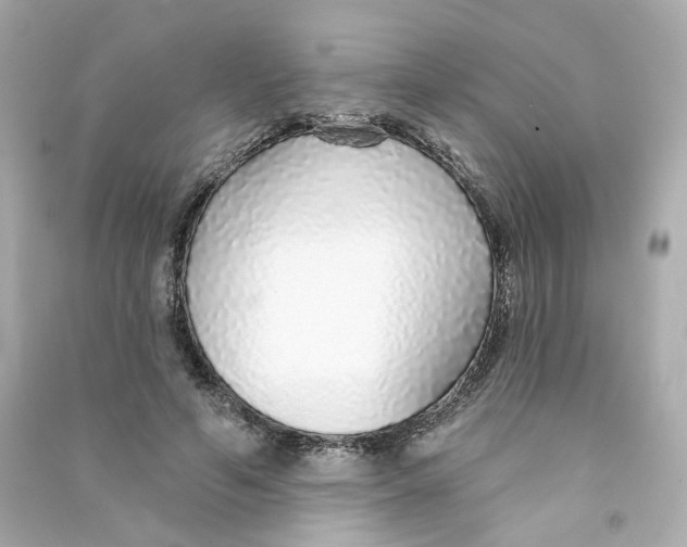 X0000090460594200708102113