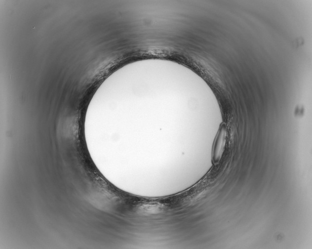 X0000090460595200708102113