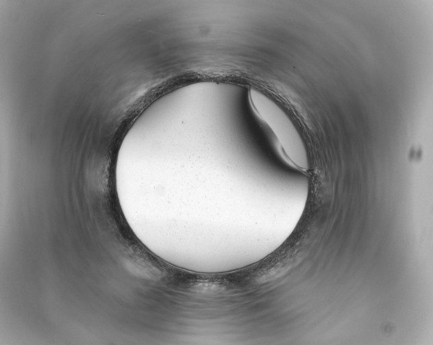 X0000090460596200708102113