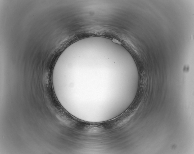 X0000090460597200708102113