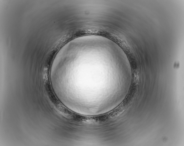 X0000090460598200708102113