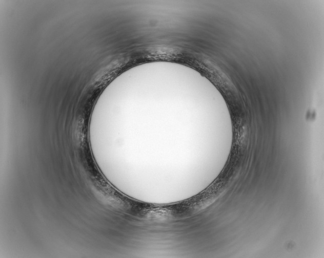 X0000090460599200708102113