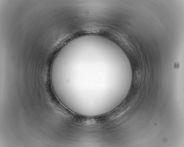 X0000090460600200708102113