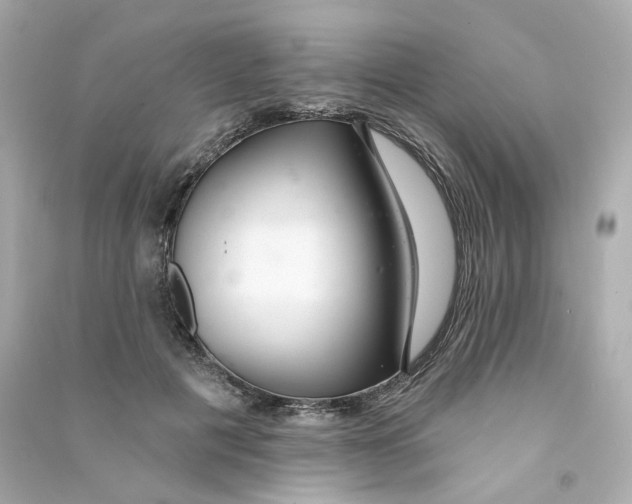 X0000090460601200708102113