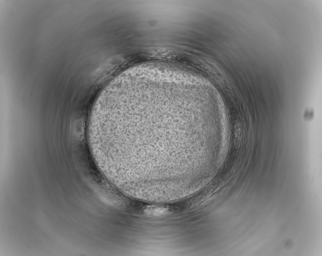 X0000090460602200708102113
