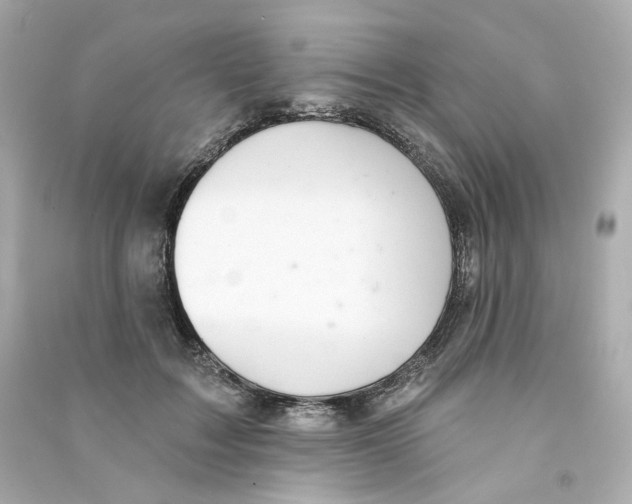 X0000090460603200708102113