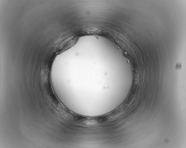 X0000090460604200708102113
