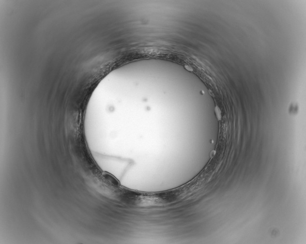 X0000090460605200708102113