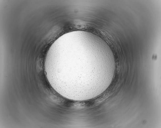 X0000090460606200708102113