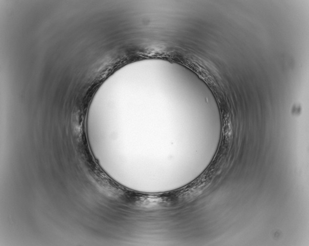 X0000090460607200708102113