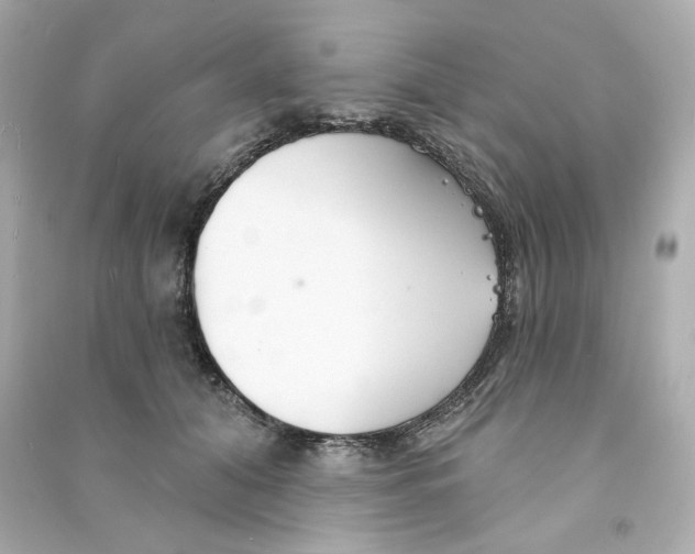 X0000090460608200708102113