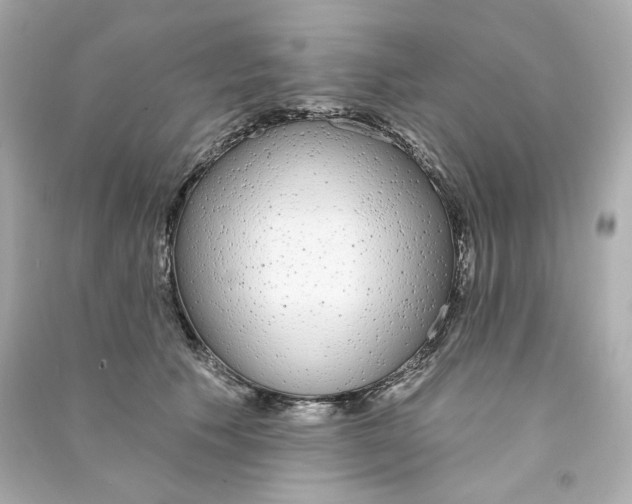X0000090460609200708102113