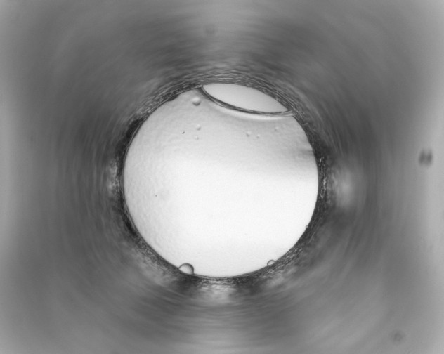 X0000090460610200708102113