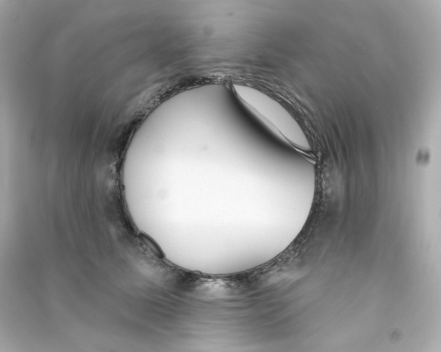 X0000090460611200708102113