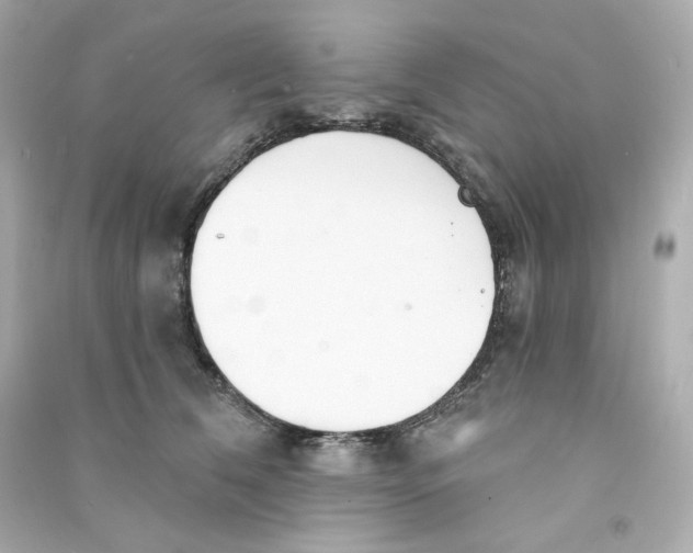 X0000090460612200708102113