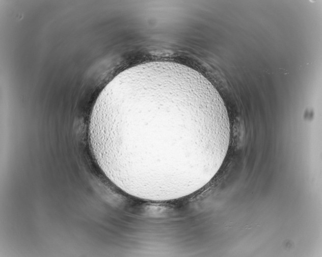 X0000090460614200708102113