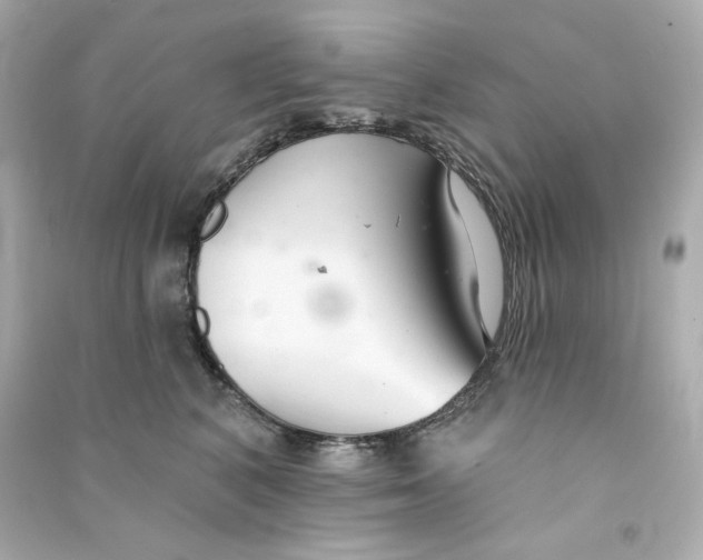 X0000090460616200708102113