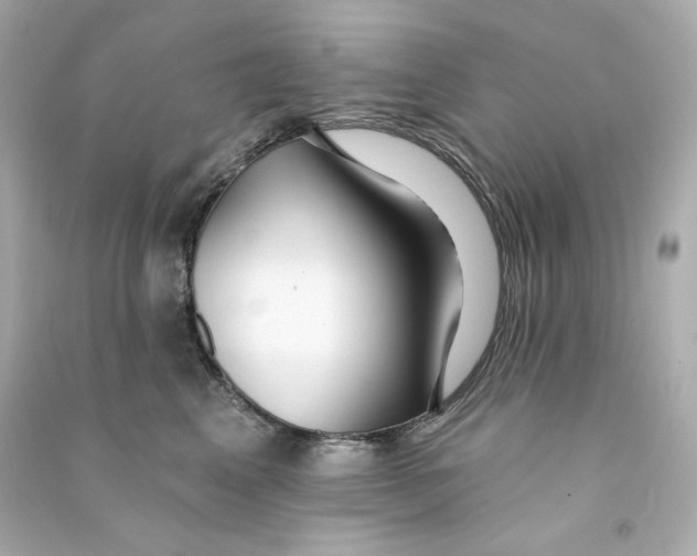 X0000090460617200708102113