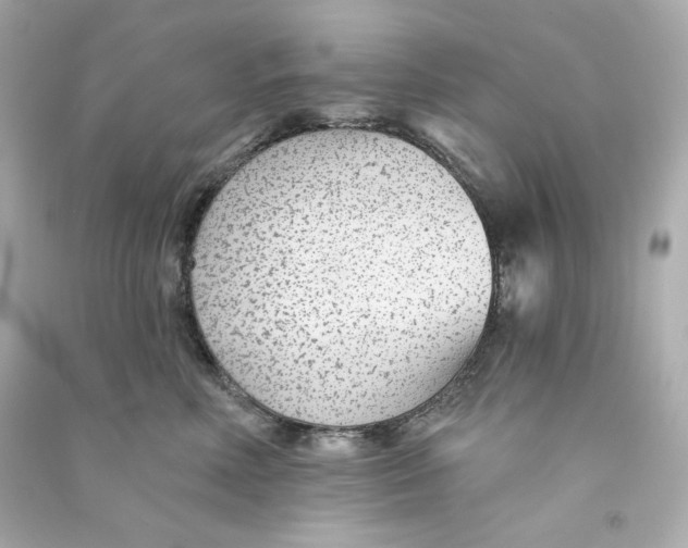 X0000090460618200708102113