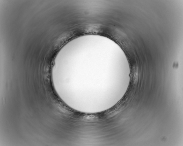 X0000090460619200708102112