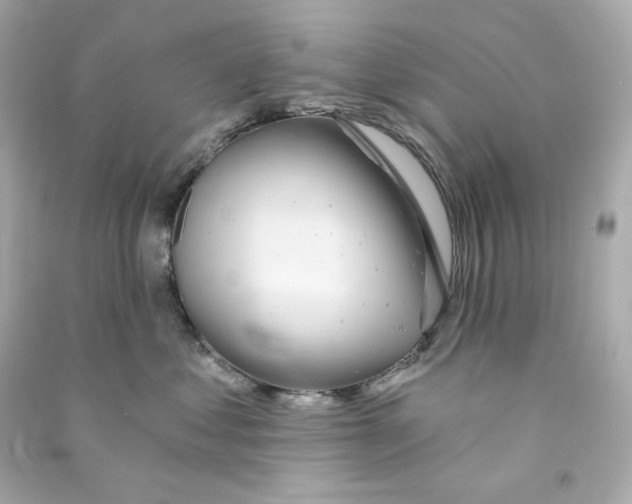 X0000090460621200708102112