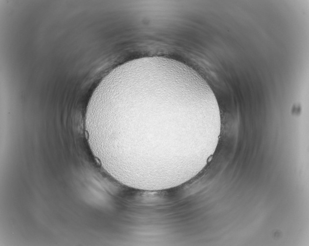 X0000090460622200708102112