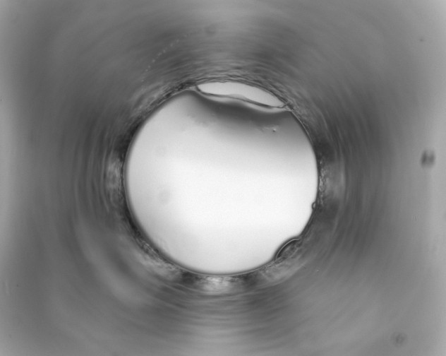 X0000090460623200708102112