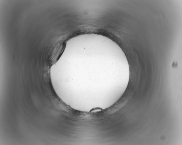 X0000090460624200708102112