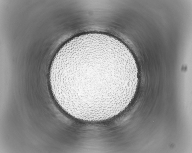 X0000090460625200708102112