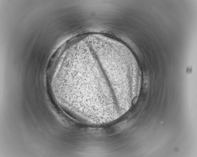 X0000090460626200708102112