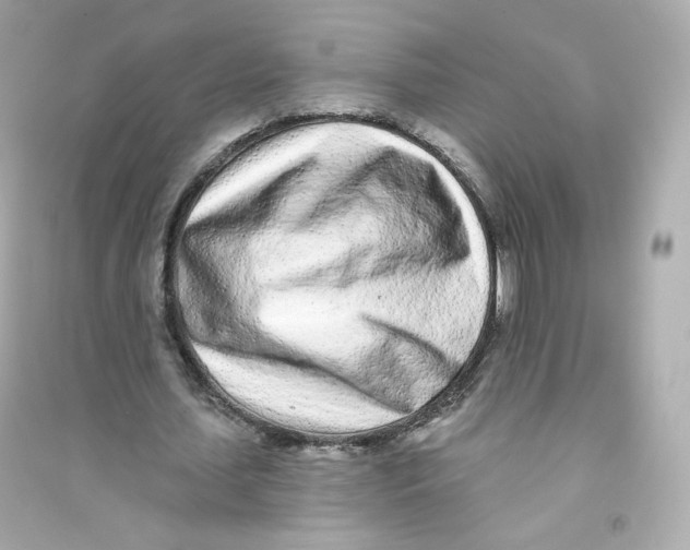 X0000090460627200708102112