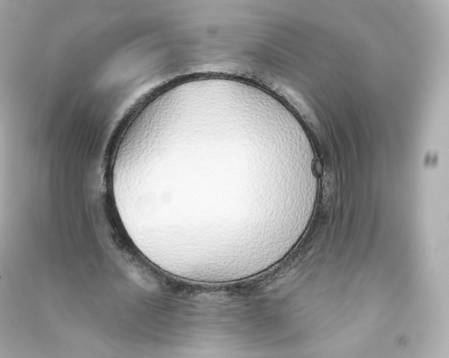 X0000090460628200708102112