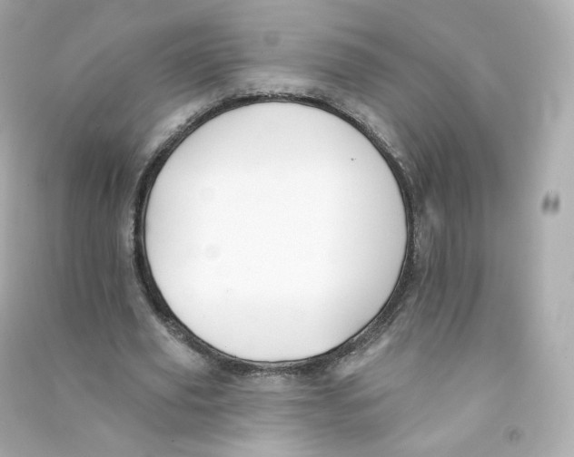 X0000090460629200708102112